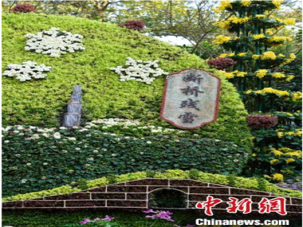 浙江杭州迎秋日赏菊热