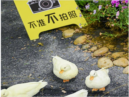 杭州市新时代技能人才激励申领工作4月15日启动