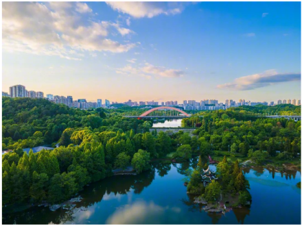 杭州海关创新智慧监管新模式