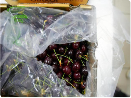 今年首批智利车厘子，抵达杭州萧山机场啦