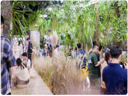 两位男生在杭州市中心造了一个“森林”，吸引了全国各地年轻人    